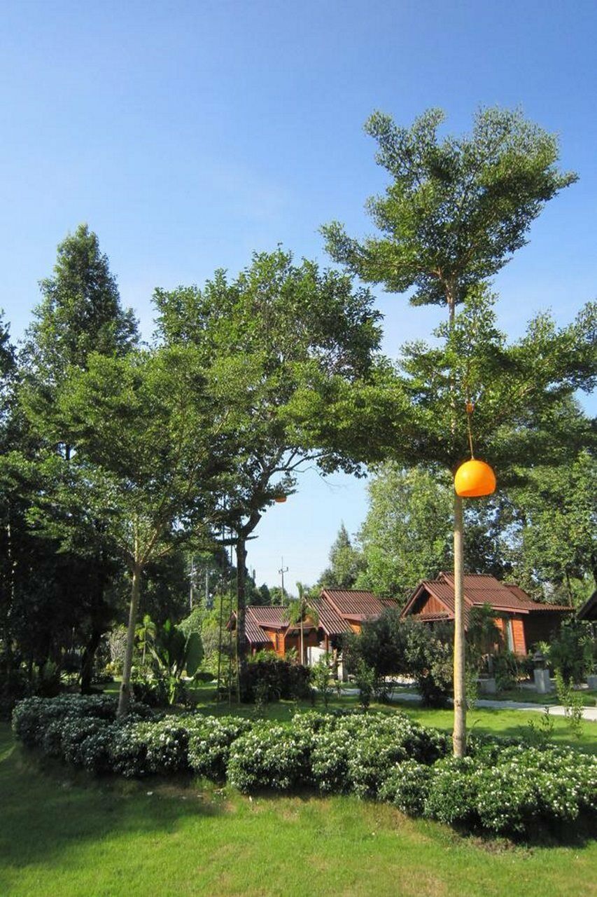Orange Tree House Aonang Otel Ban Khlong Haeng Dış mekan fotoğraf